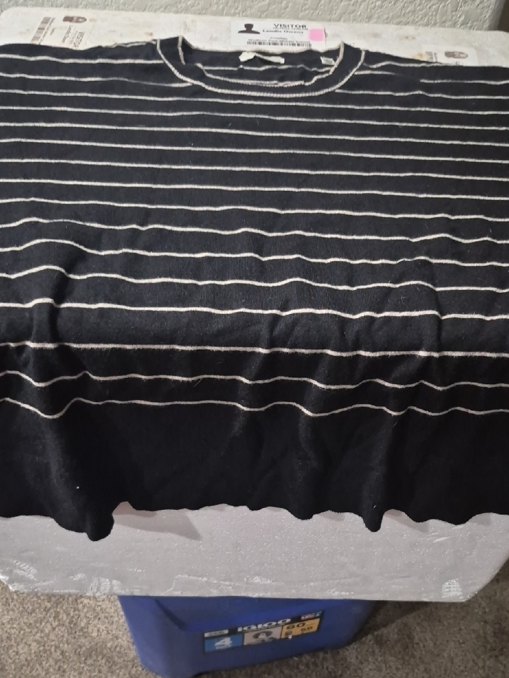 Max Studio Navy and White Striped Sweater
